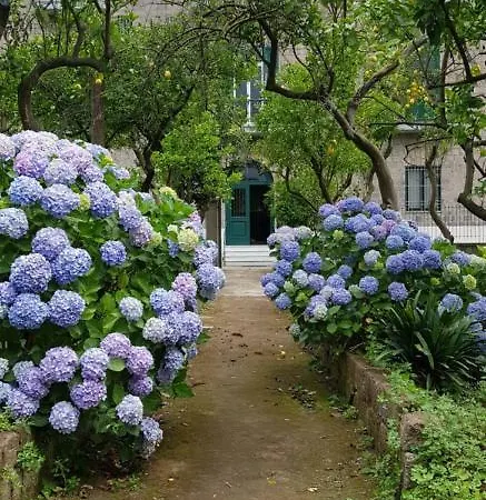 Tozzoli House * Sorrento